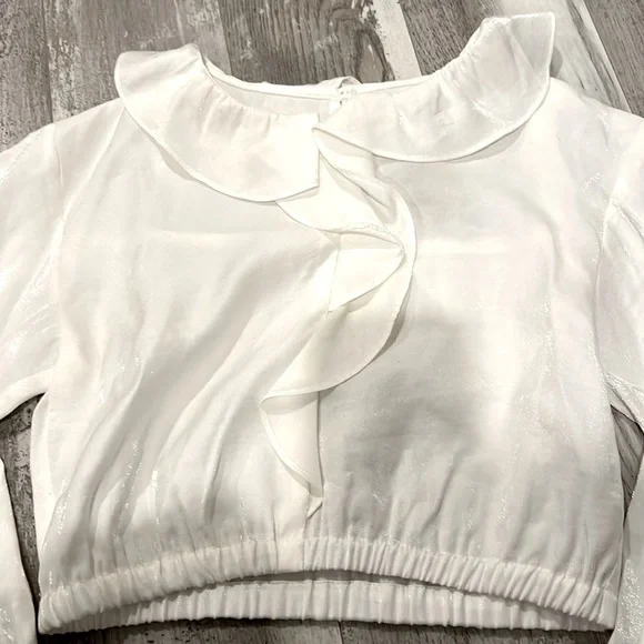 Zara Fluid Ruffled Blouse - Picture 5 of 9